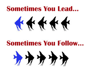 Whose vision are you following anyway? - denisgmclaughlin.com